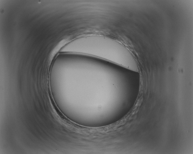 X0000062870003200601131023