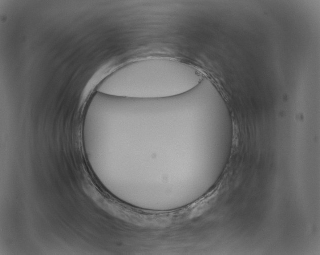 X0000062870004200601131023