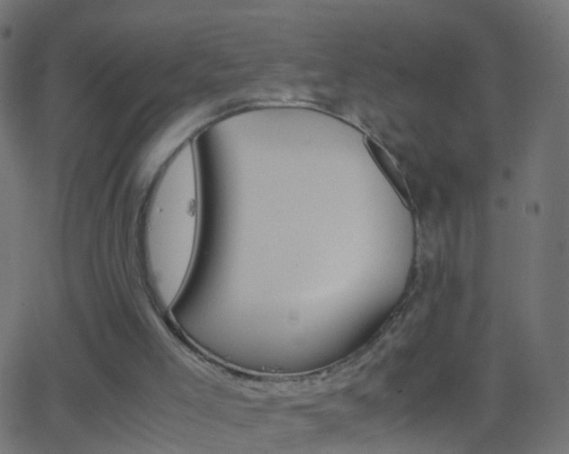 X0000062870005200601131023