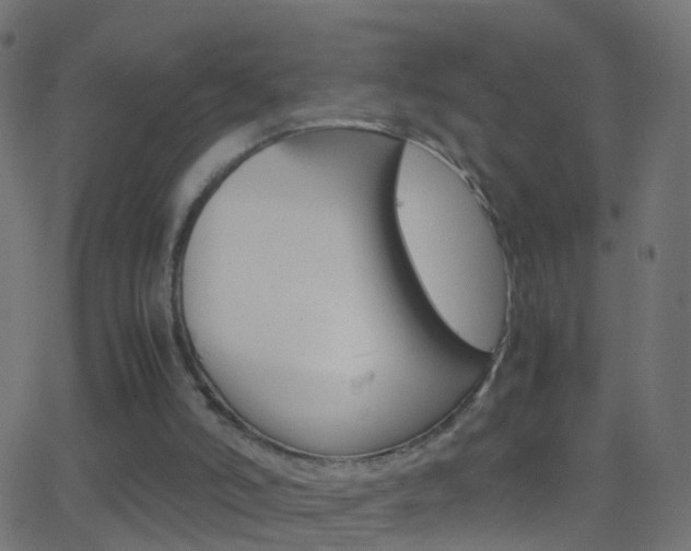 X0000062870006200601131023