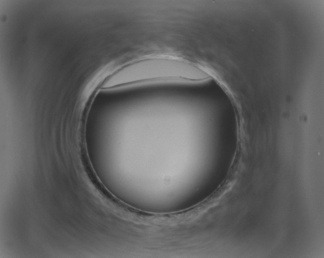 X0000062870007200601131023