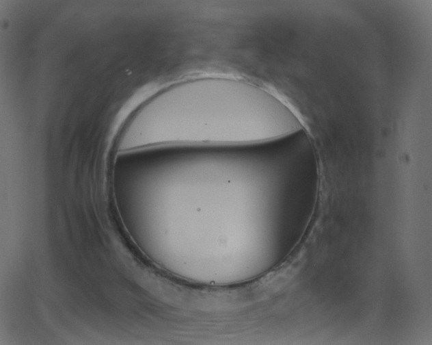 X0000062870008200601131023