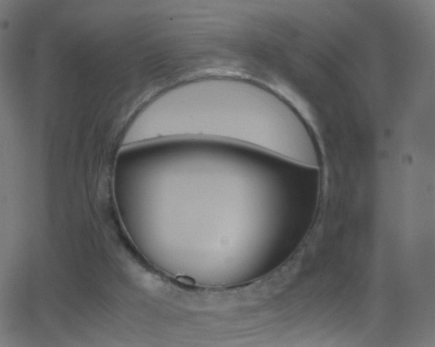 X0000062870009200601131023