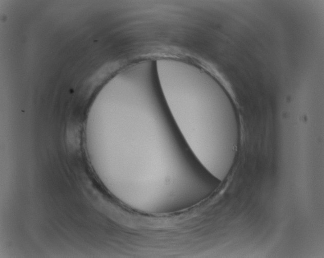 X0000062870010200601131023