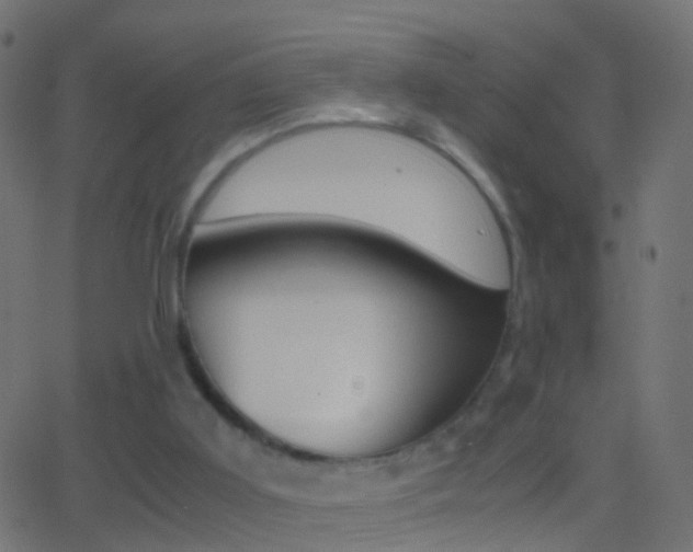 X0000062870011200601131023