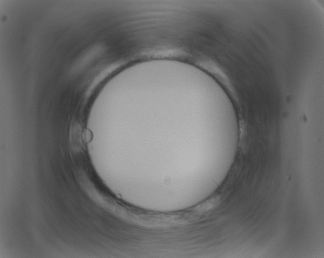 X0000062870012200601131023