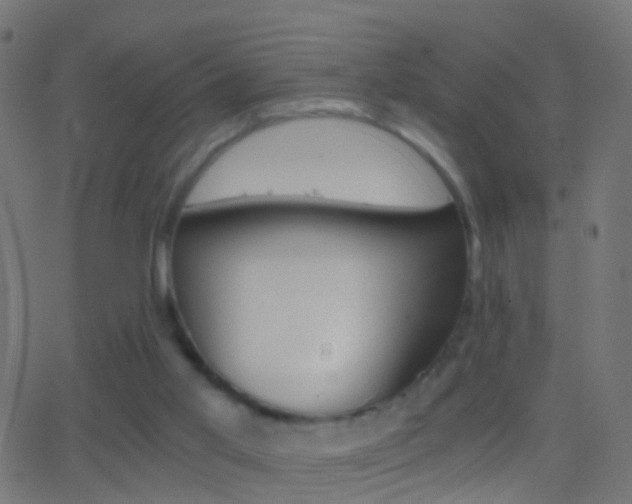 X0000062870013200601131023