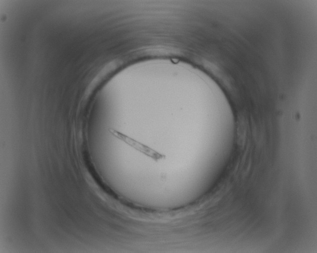 X0000062870015200601131023