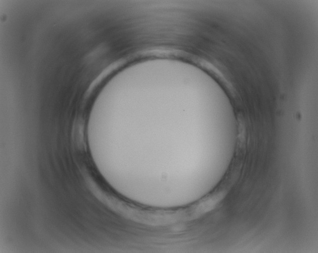 X0000062870016200601131023