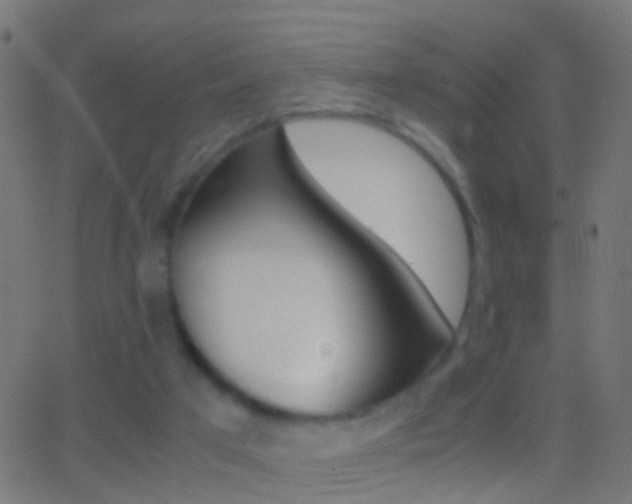 X0000062870017200601131022