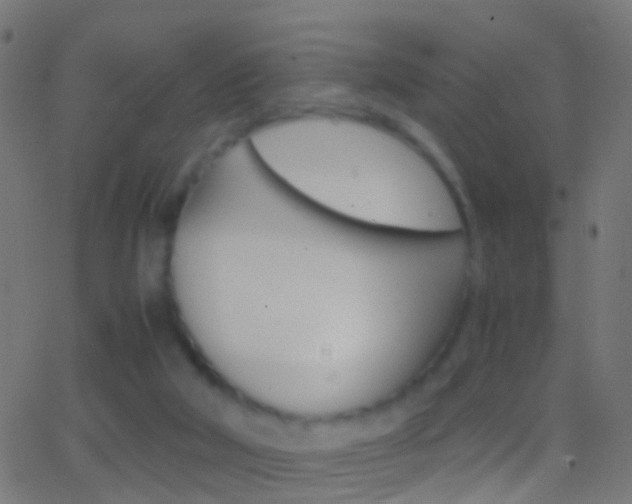 X0000062870018200601131022