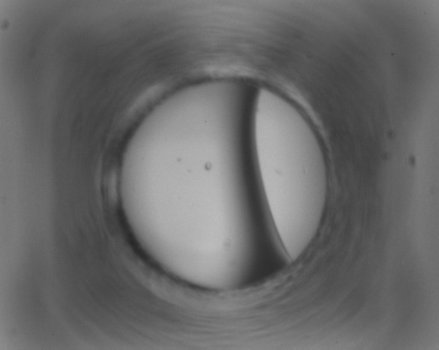 X0000062870019200601131022