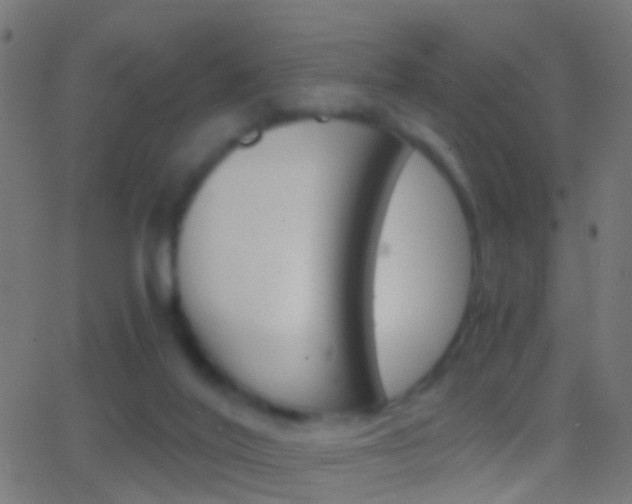 X0000062870020200601131022