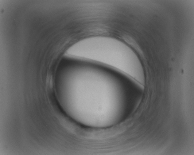 X0000062870021200601131022