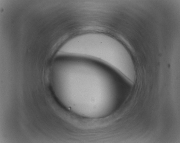 X0000062870023200601131022