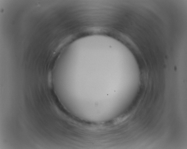 X0000062870024200601131022