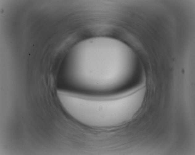 X0000062870025200601131022