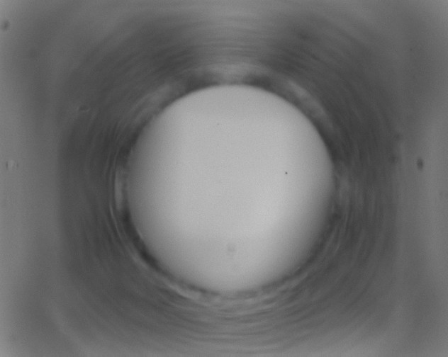 X0000062870026200601131022