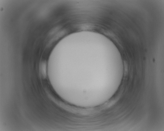 X0000062870028200601131022