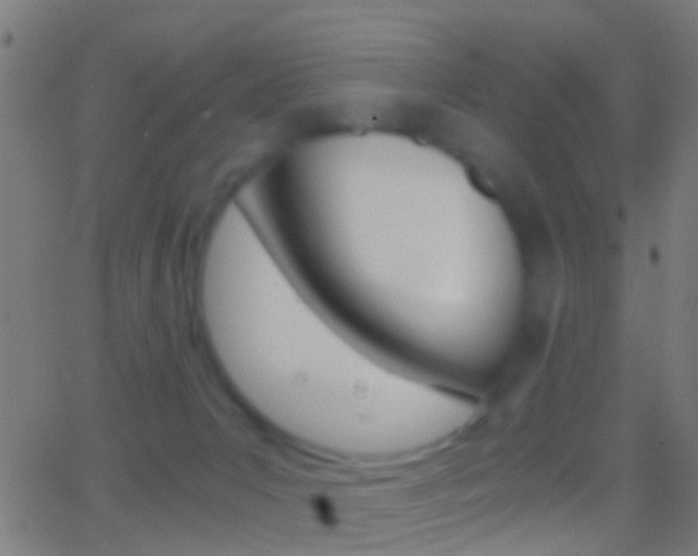 X0000062870031200601131022