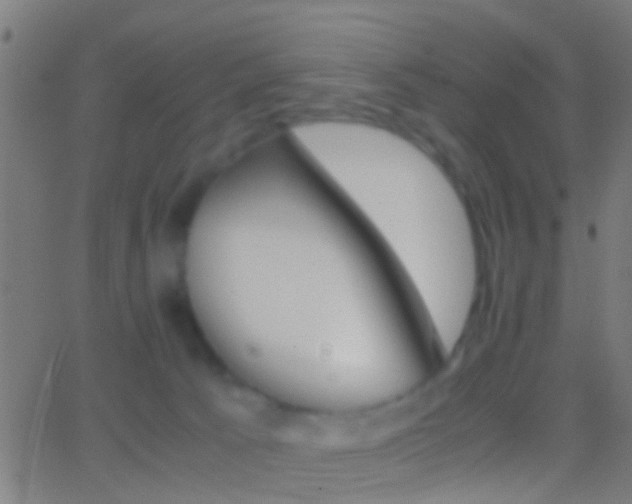 X0000062870033200601131022