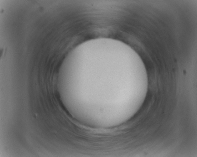 X0000062870034200601131022