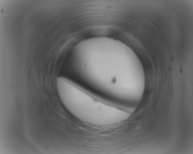 X0000062870035200601131022