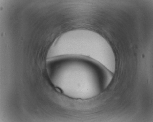 X0000062870039200601131022