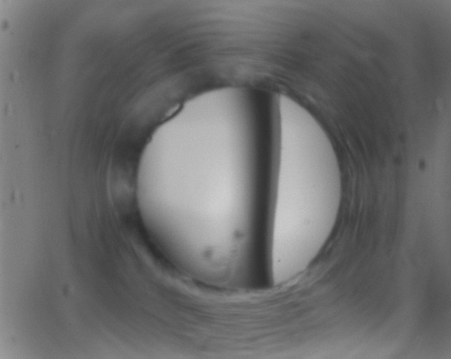 X0000062870040200601131022