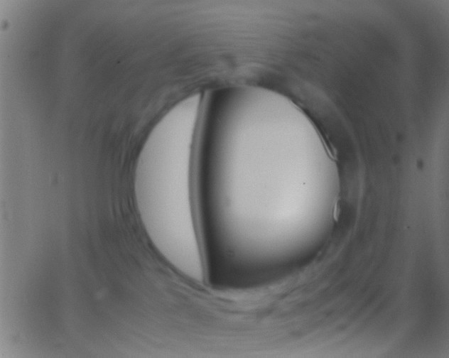 X0000062870041200601131022