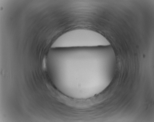 X0000062870042200601131022