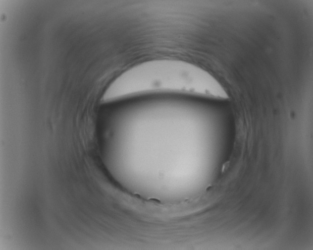 X0000062870043200601131022