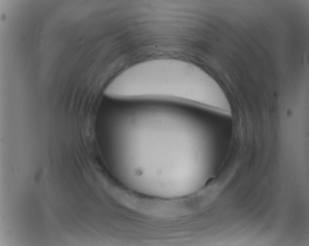 X0000062870044200601131022