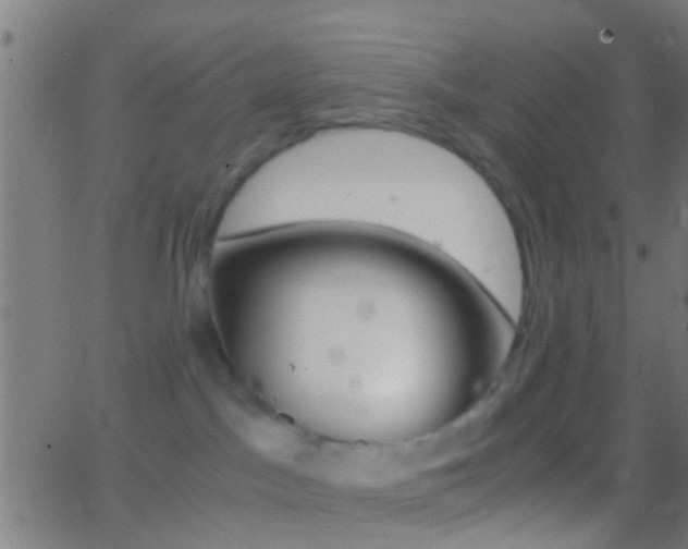 X0000062870045200601131022