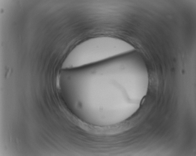 X0000062870046200601131022