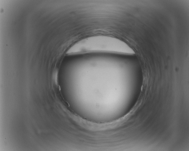 X0000062870047200601131022