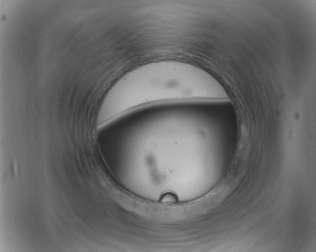 X0000062870048200601131022