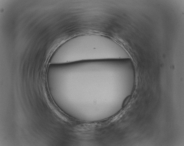 X0000062870049200601131021