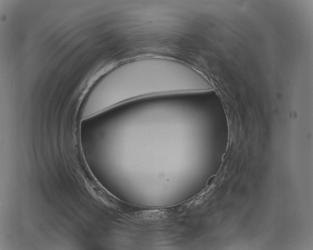 X0000062870050200601131021