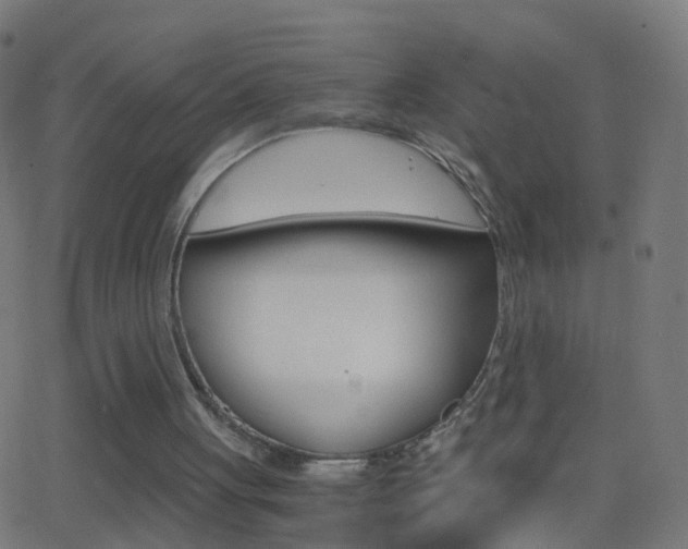 X0000062870051200601131021