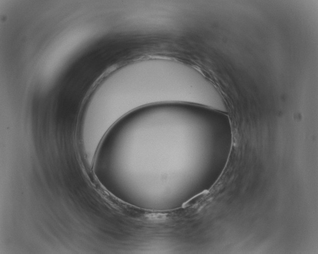 X0000062870052200601131021