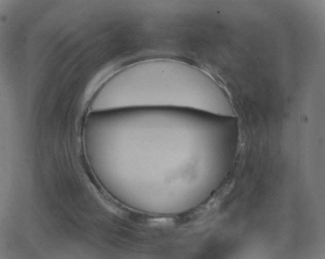 X0000062870053200601131021