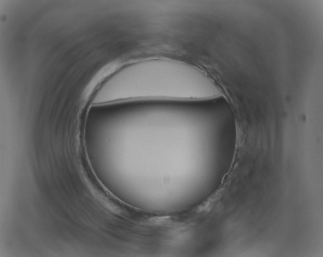 X0000062870054200601131021