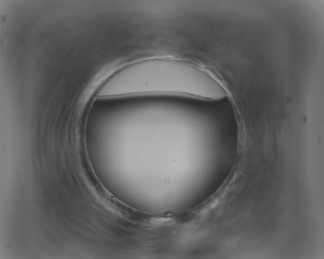 X0000062870055200601131021