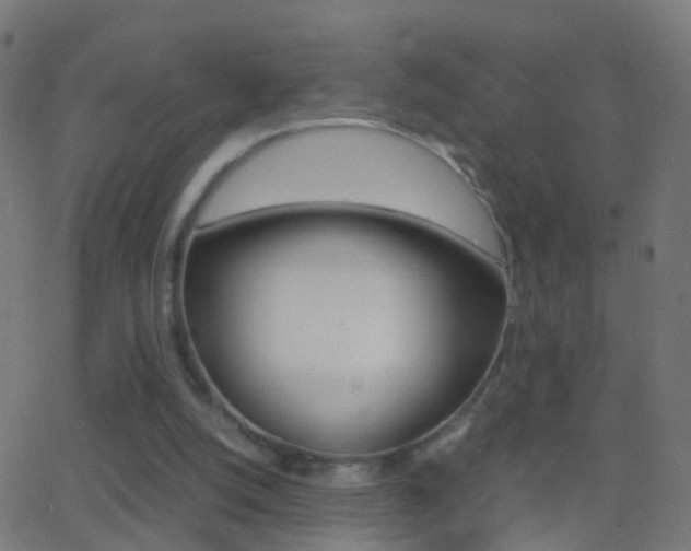 X0000062870056200601131021