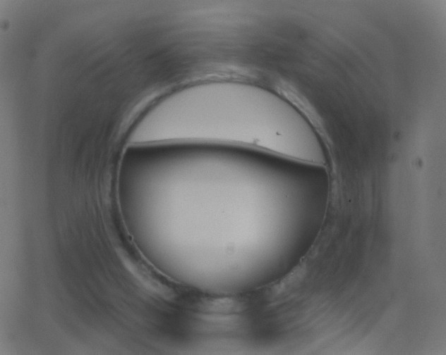 X0000062870058200601131021