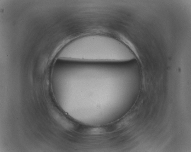 X0000062870059200601131021