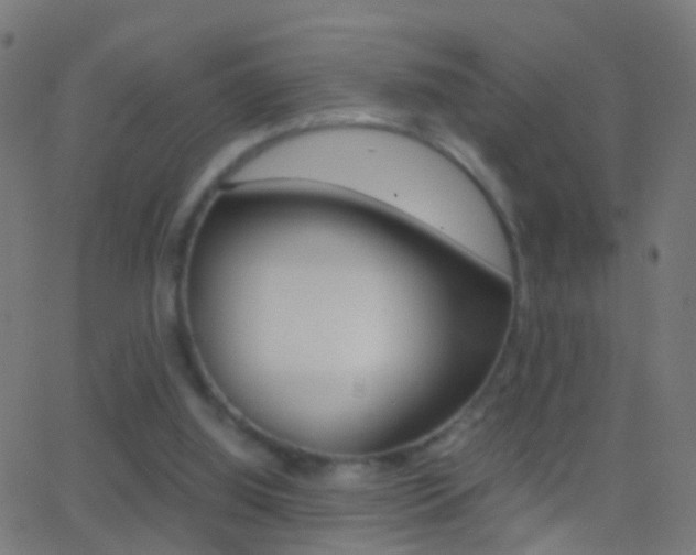 X0000062870060200601131021