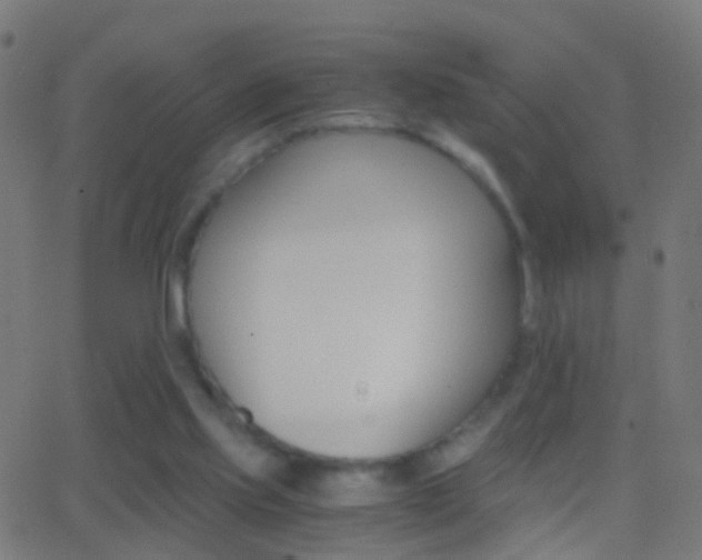 X0000062870061200601131021