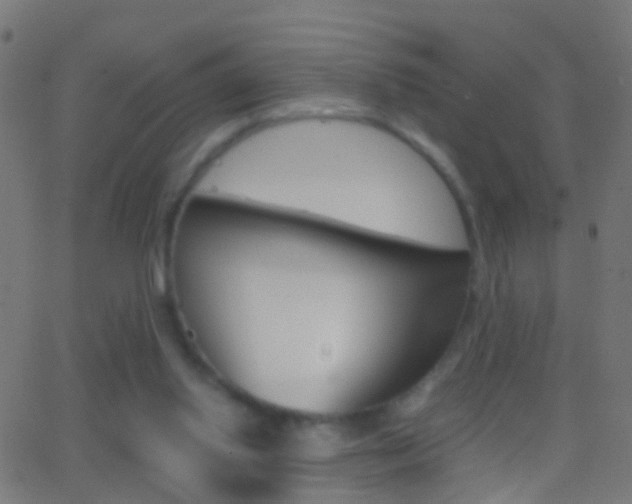 X0000062870062200601131021